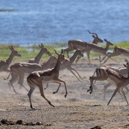 Jackalberry Chobe Hotel Kasane Eksteriør billede